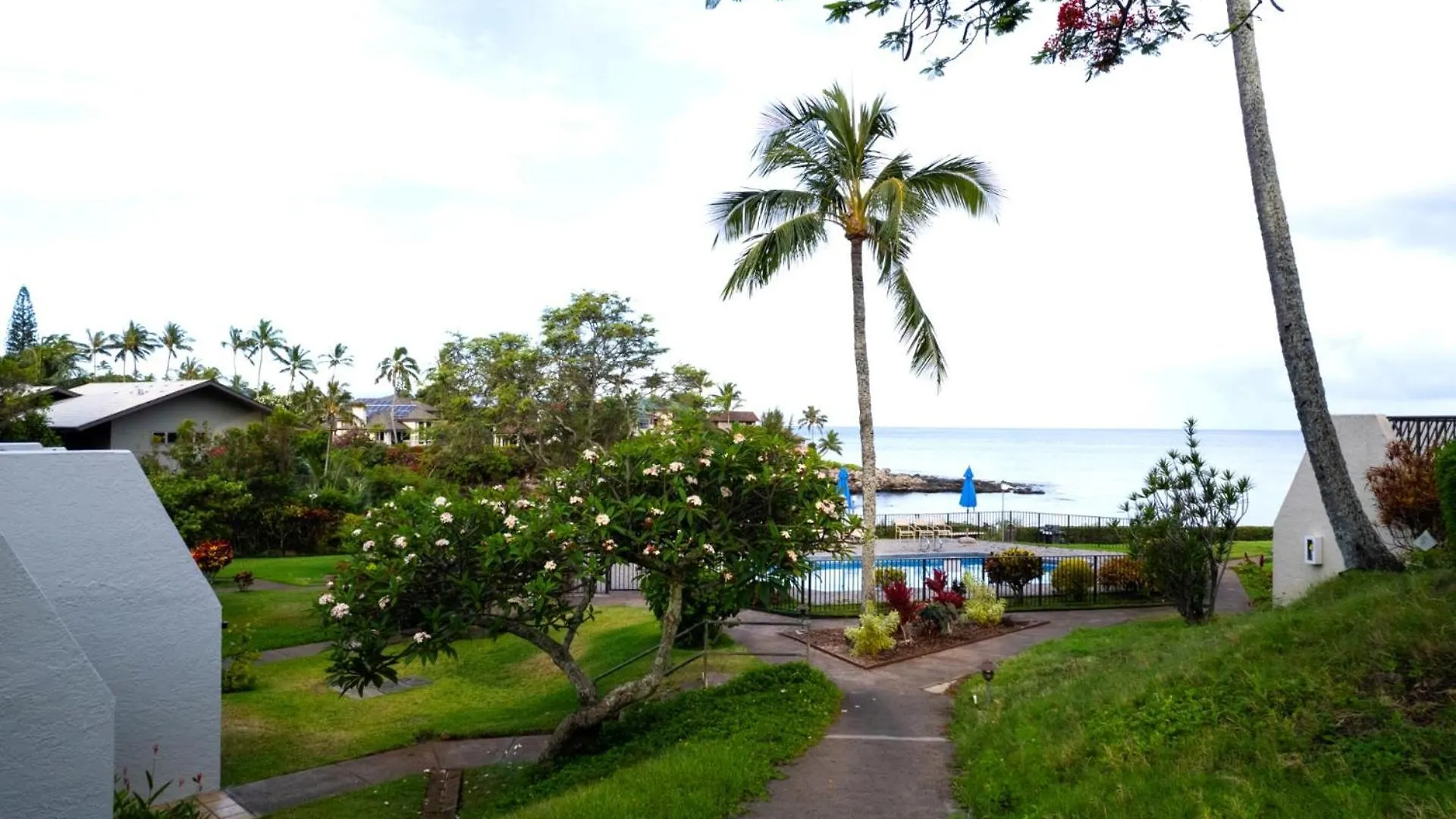 Daire Kbm Resorts Free Car Napili Point Oceanfront 1-Bedroom Condo With Luxury Amenities Nap-B26